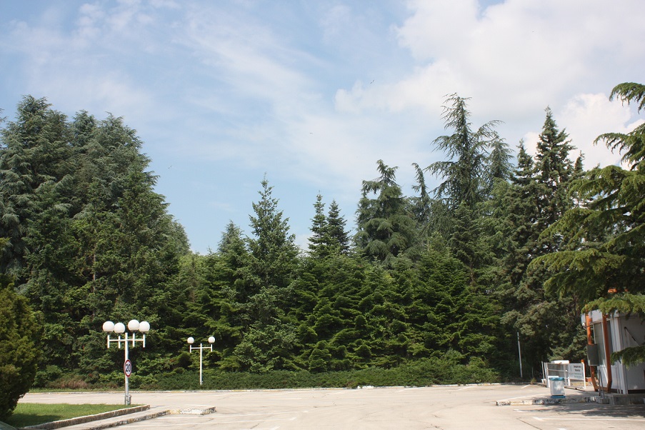 Болгария отели_2012 388.jpg
